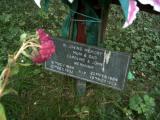 image of grave number 196116